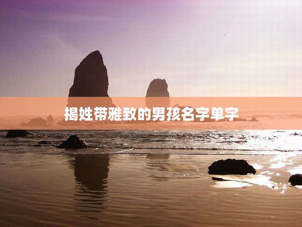 揭姓带雅致的男孩名字单字