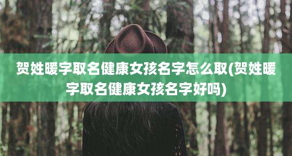 贺姓暖字取名健康女孩名字怎么取(贺姓暖字取名健康女孩名字好吗)