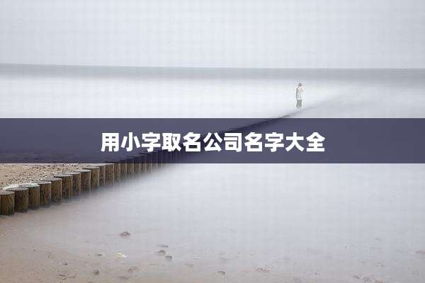 用小字取名公司名字大全