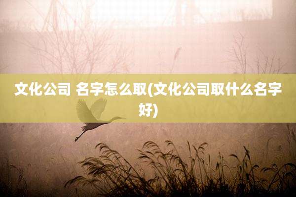 文化公司 名字怎么取(文化公司取什么名字好)