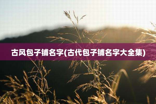 古风包子铺名字(古代包子铺名字大全集)