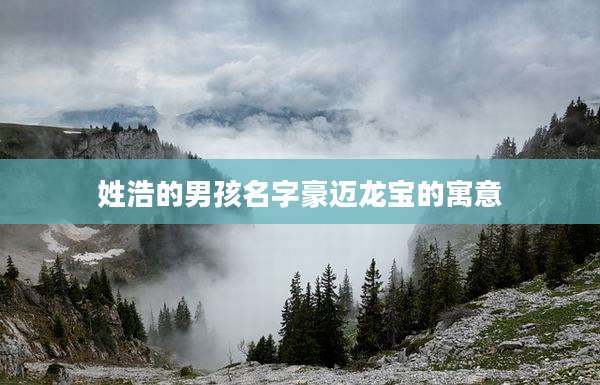 姓浩的男孩名字豪迈龙宝的寓意