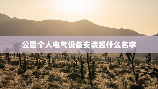 公司个人电气设备安装起什么名字
