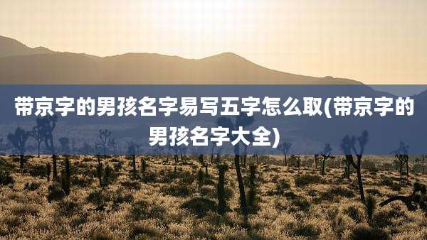 带京字的男孩名字易写五字怎么取(带京字的男孩名字大全)
