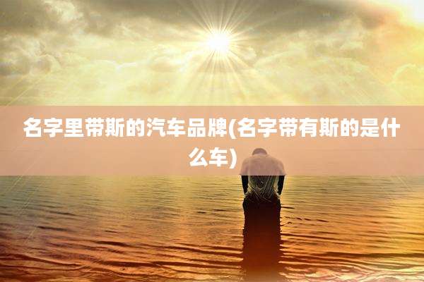 名字里带斯的汽车品牌(名字带有斯的是什么车)