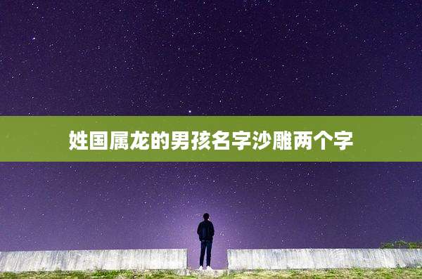 姓国属龙的男孩名字沙雕两个字