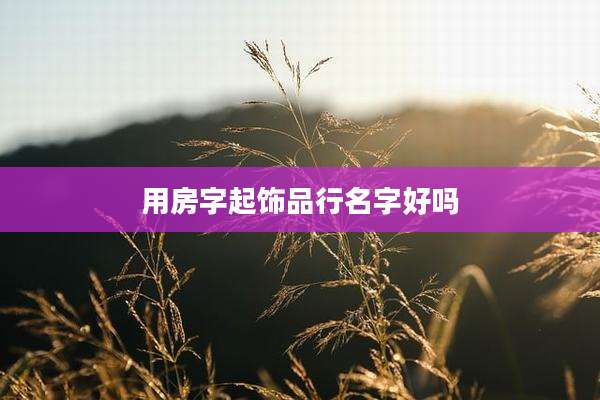 用房字起饰品行名字好吗