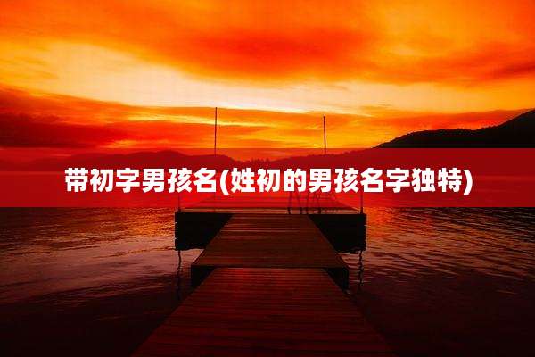 带初字男孩名(姓初的男孩名字独特)