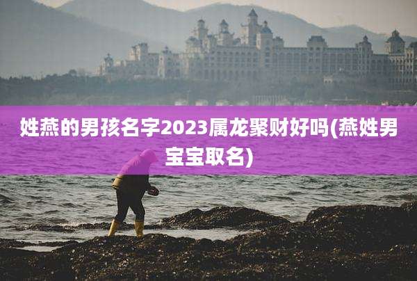 姓燕的男孩名字2023属龙聚财好吗(燕姓男宝宝取名)