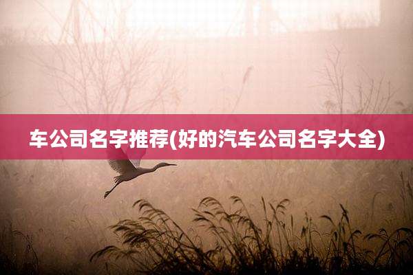 车公司名字推荐(好的汽车公司名字大全)