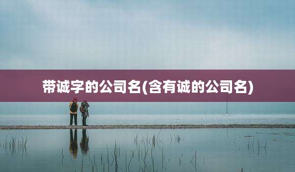带诚字的公司名(含有诚的公司名)