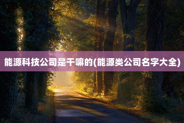 能源科技公司是干嘛的(能源类公司名字大全)