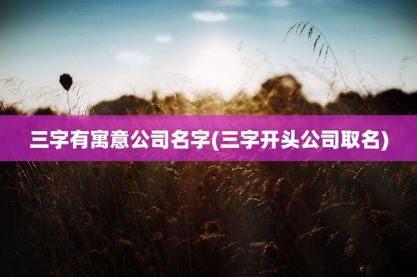 三字有寓意公司名字(三字开头公司取名)