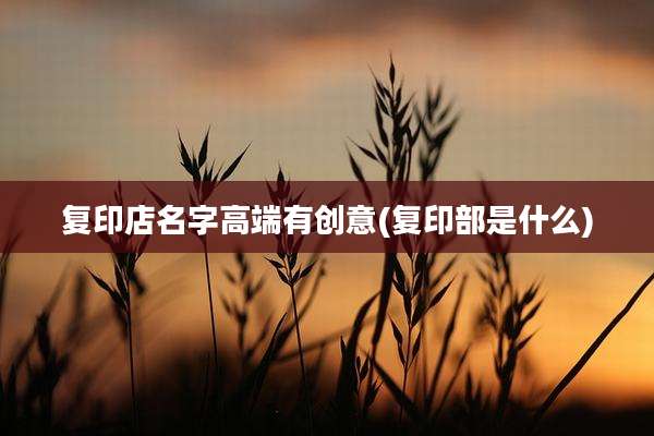 复印店名字高端有创意(复印部是什么)