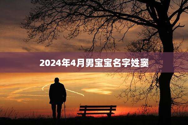 2024年4月男宝宝名字姓窦