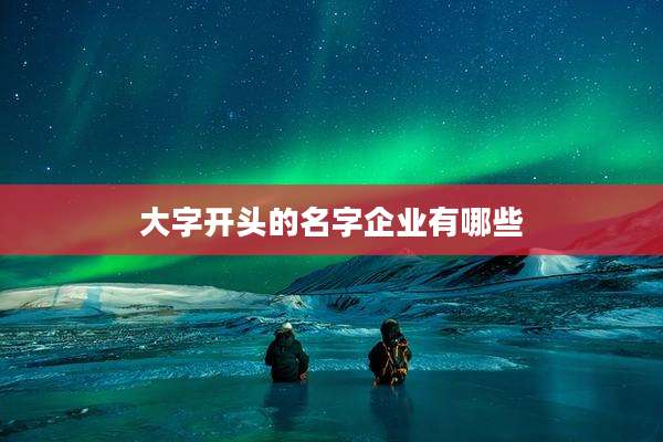 大字开头的名字企业有哪些