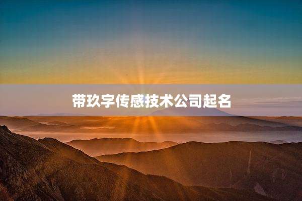 带玖字传感技术公司起名