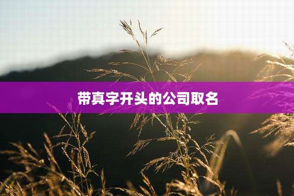 带真字开头的公司取名