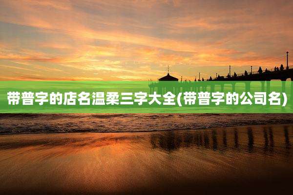带普字的店名温柔三字大全(带普字的公司名)