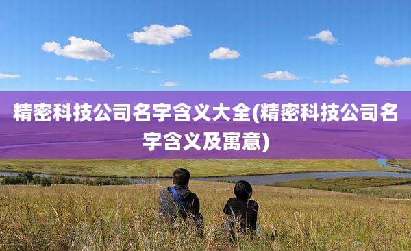 精密科技公司名字含义大全(精密科技公司名字含义及寓意)