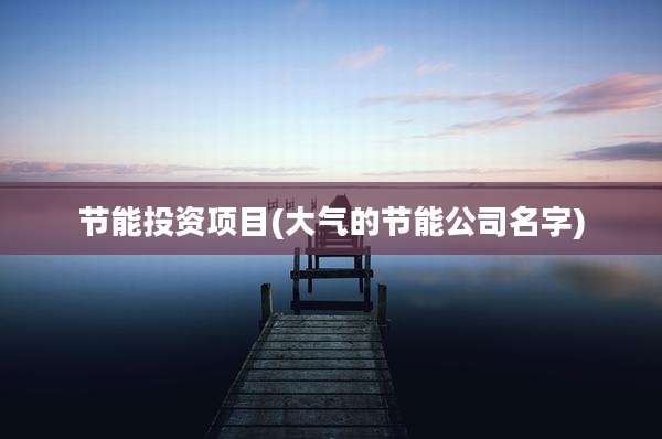 节能投资项目(大气的节能公司名字)