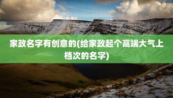 家政名字有创意的(给家政起个高端大气上档次的名字)