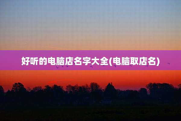 好听的电脑店名字大全(电脑取店名)