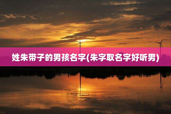 姓朱带子的男孩名字(朱字取名字好听男)