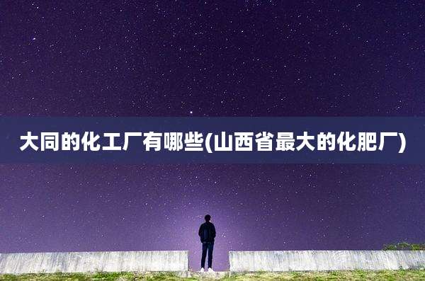 大同的化工厂有哪些(山西省最大的化肥厂)