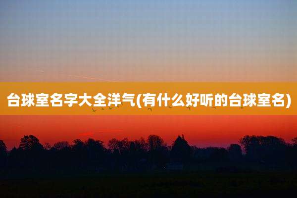 台球室名字大全洋气(有什么好听的台球室名)