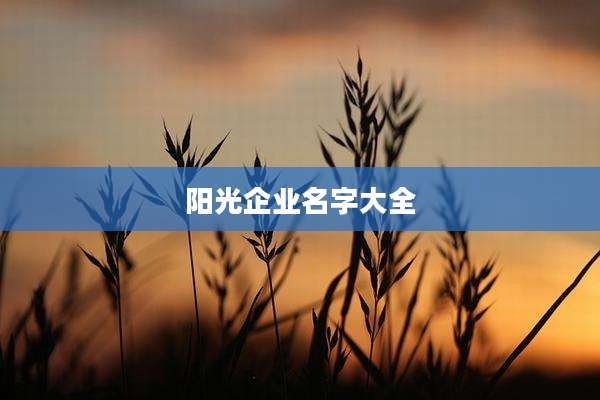 阳光企业名字大全