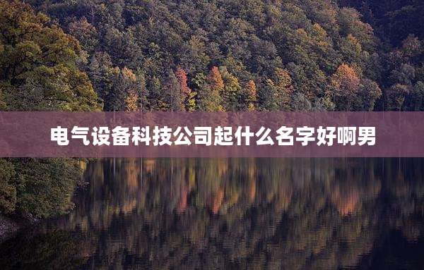 电气设备科技公司起什么名字好啊男