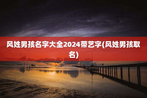 风姓男孩名字大全2024带艺字(风姓男孩取名)