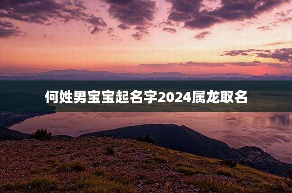 何姓男宝宝起名字2024属龙取名