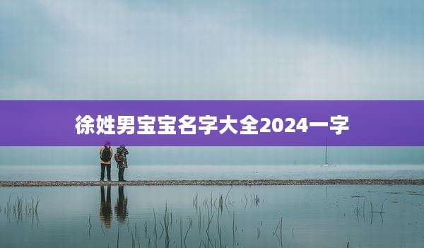 徐姓男宝宝名字大全2024一字
