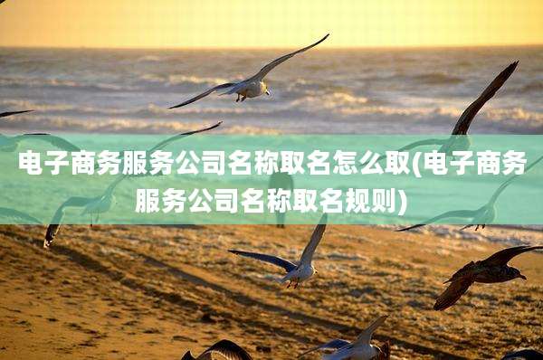电子商务服务公司名称取名怎么取(电子商务服务公司名称取名规则)