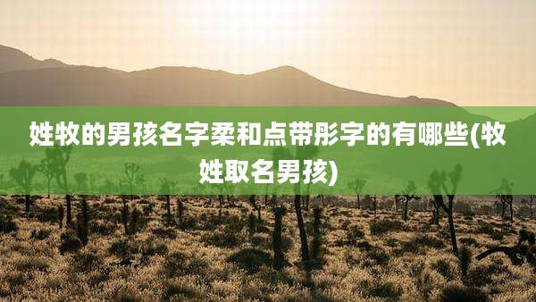 姓牧的男孩名字柔和点带彤字的有哪些(牧姓取名男孩)