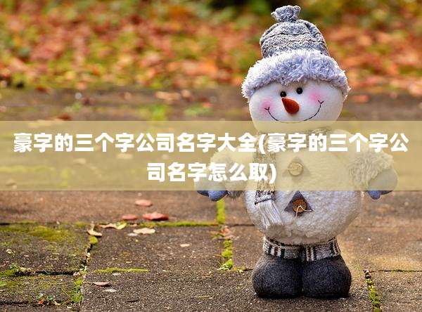 豪字的三个字公司名字大全(豪字的三个字公司名字怎么取)