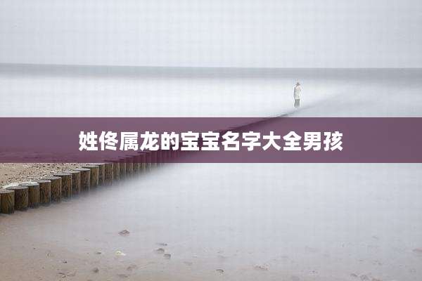 姓佟属龙的宝宝名字大全男孩