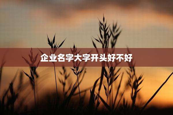 企业名字大字开头好不好