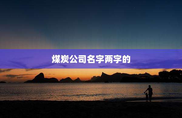煤炭公司名字两字的