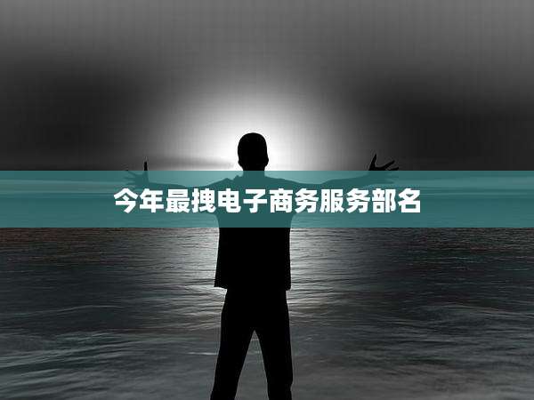 今年最拽电子商务服务部名