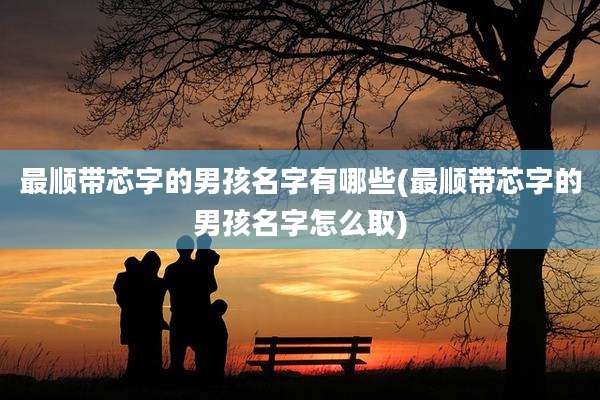 最顺带芯字的男孩名字有哪些(最顺带芯字的男孩名字怎么取)