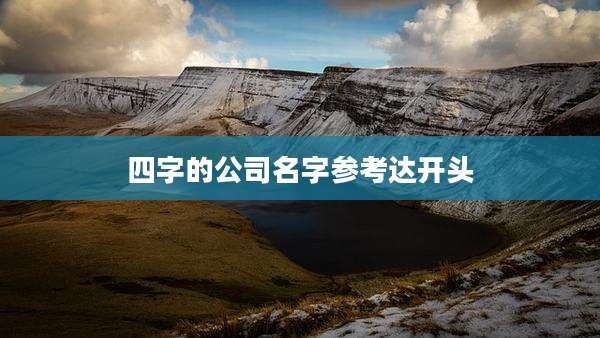 四字的公司名字参考达开头