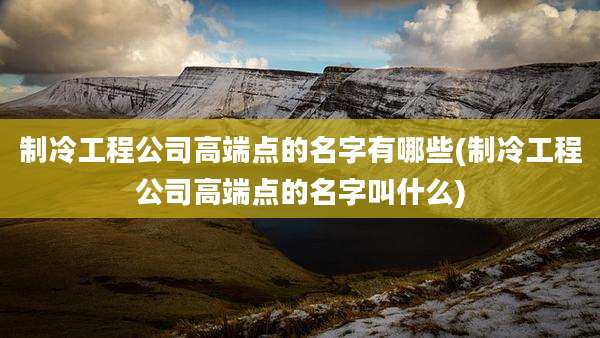 制冷工程公司高端点的名字有哪些(制冷工程公司高端点的名字叫什么)