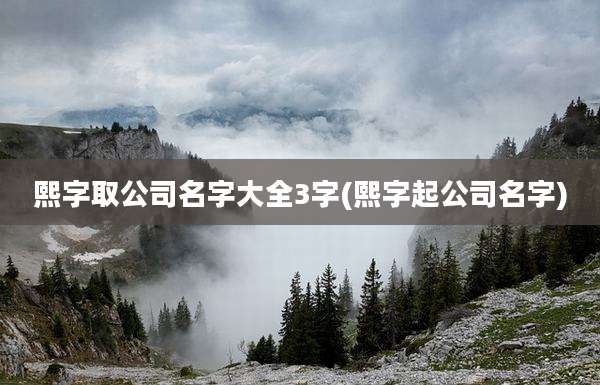 熙字取公司名字大全3字(熙字起公司名字)
