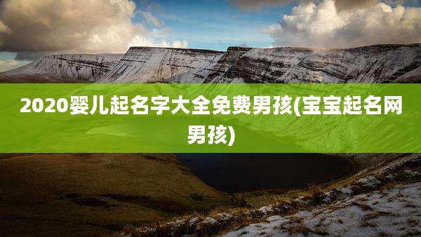 2020婴儿起名字大全免费男孩(宝宝起名网男孩)