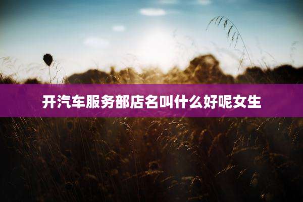 开汽车服务部店名叫什么好呢女生