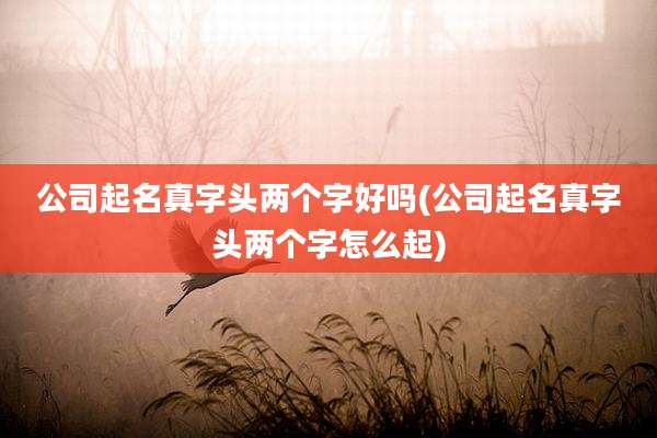 公司起名真字头两个字好吗(公司起名真字头两个字怎么起)