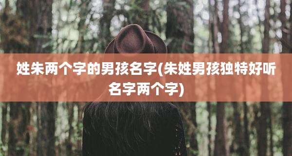 姓朱两个字的男孩名字(朱姓男孩独特好听名字两个字)